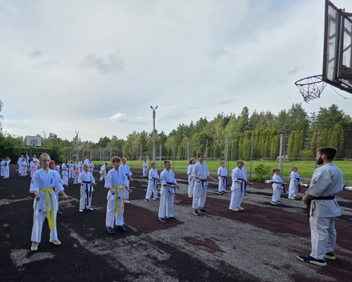 городской летний лагерь киокушин каратэ липецк белый тигр