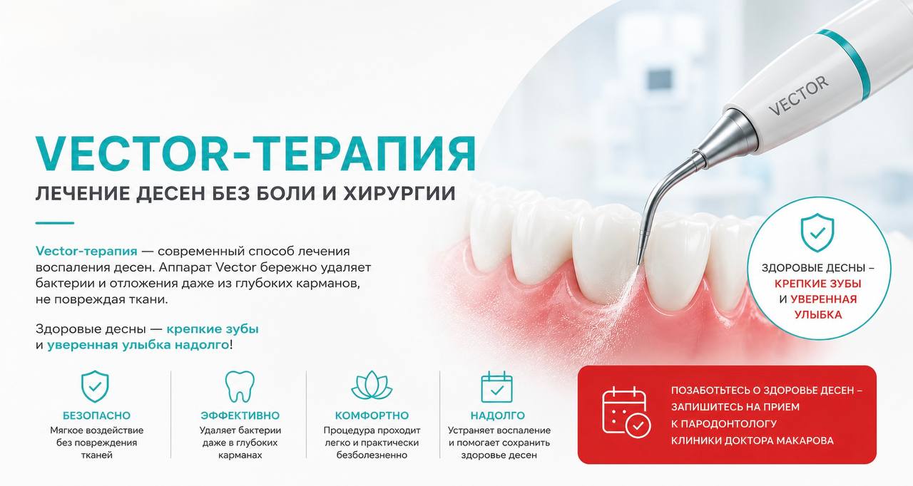 вектор